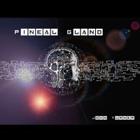 John Turner - Pineal Gland