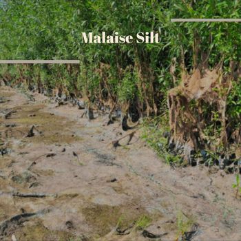 Various Artists - Malaise Silt
