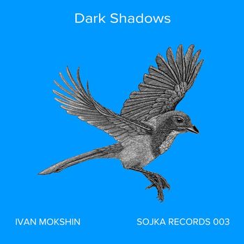 Ivan Mokshin - Dark Shadows