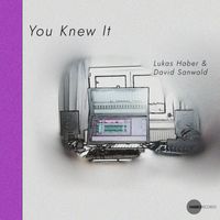 Lukas Haber feat. David Sanwald - You Knew It