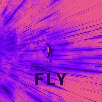d3stra - Fly