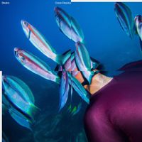 Bleakre - Ocean Dissolve