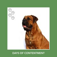 Relaxing Dog Music - Days Of Contentment