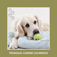 Relaxing Dog Music - Tranquil Canine Calmness