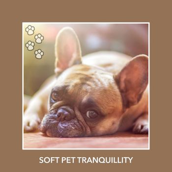 Relaxing Dog Music - Soft Pet Tranquillity