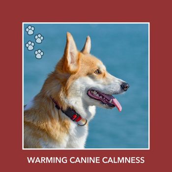 Relaxing Dog Music - Warming Canine Calmness