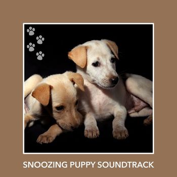 Relaxing Dog Music - Snoozing Puppy Soundtrack
