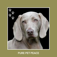 Relaxing Dog Music - Pure Pet Peace