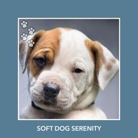 Relaxing Dog Music - Soft Dog Serenity