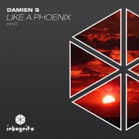 Damien S - Like A Phoenix