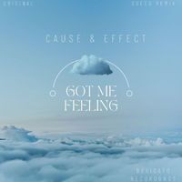 Cause & Effect - Got Me Feeling