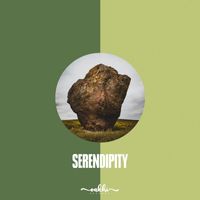 Boltex - Serendipity