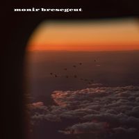 Monir Bresegeut - Say You Will