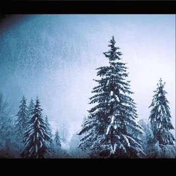 Sage - Stop Playing Around (Winter Bedroom Version)