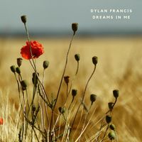 Dylan Francis - Dreams In Me