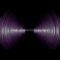 Microdynamic Recordings - Waves & Winds For Brown Noise