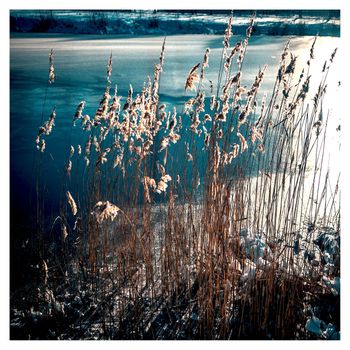 Egor Grushin - November