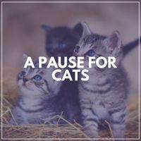 Cat Music - A Pause for Cats