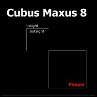 Thomas Trommler - Cubus Maxus 8 (Insight Outsight Pepper)