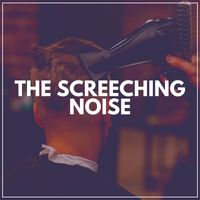 Deep Sleep Hair Dryers - The Screeching Noise