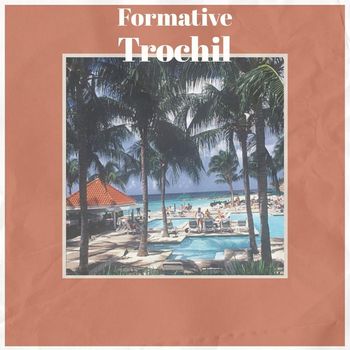 Various Artists - Formative Trochil