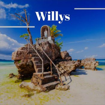 Various Artists - Willys