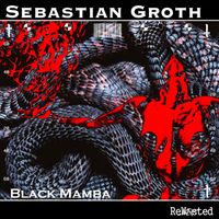 Sebastian Groth - Black Mamba