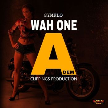 Symflo - Wah One a Dem (Explicit)