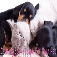 Pet Music - Calming Soundscape For Your Pet
