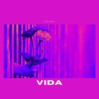 Aruba - Vida (Explicit)