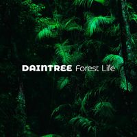 Nature Sounds - Daintree Forest Life – Nature Sounds to Cure Anxiety