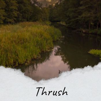 Various Artists - Thrush