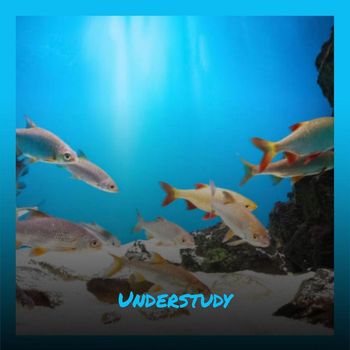 Various Artists - Understudy