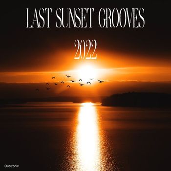 Various Artists - Last Sunset Grooves 2022