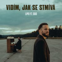 Lipo - Vidím, jak se stmívá