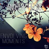 Andrew Fields - Envolving Moments