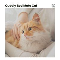 Cat Music - Cuddly Bed Mate Cat
