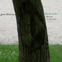 Justin Nathanielson - This Sacred Tree