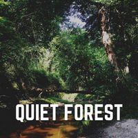 Nature Sounds - Quiet Forest