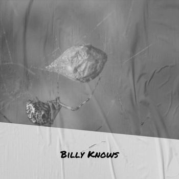 Various Artist - Billy Knows