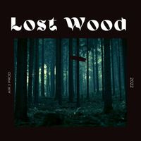 Air J - Lost wood