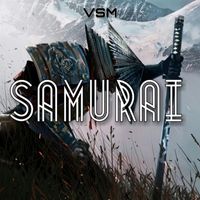 VSM - Samurai