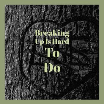 Various Artist - Breaking Up Is Hard To Do