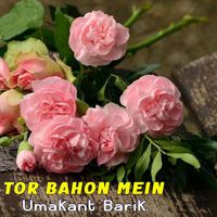 Umakant Barik - Tor Bahon Mein