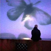 Beanie - Butterflies Away