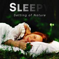 Easy Sleep Music - Sleepy Setting of Nature: Deep Relaxation with Calm Music for Mindfulness and Sleep