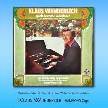Klaus Wunderlich - Waldeslust