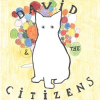 David & The Citizens - "Untitled"