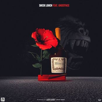 Sheek Louch (feat. GhostFace) - Hibiscus (Explicit)