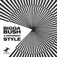 BiggaBush - A Different Style